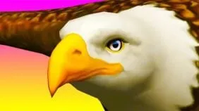 Eagle Rider